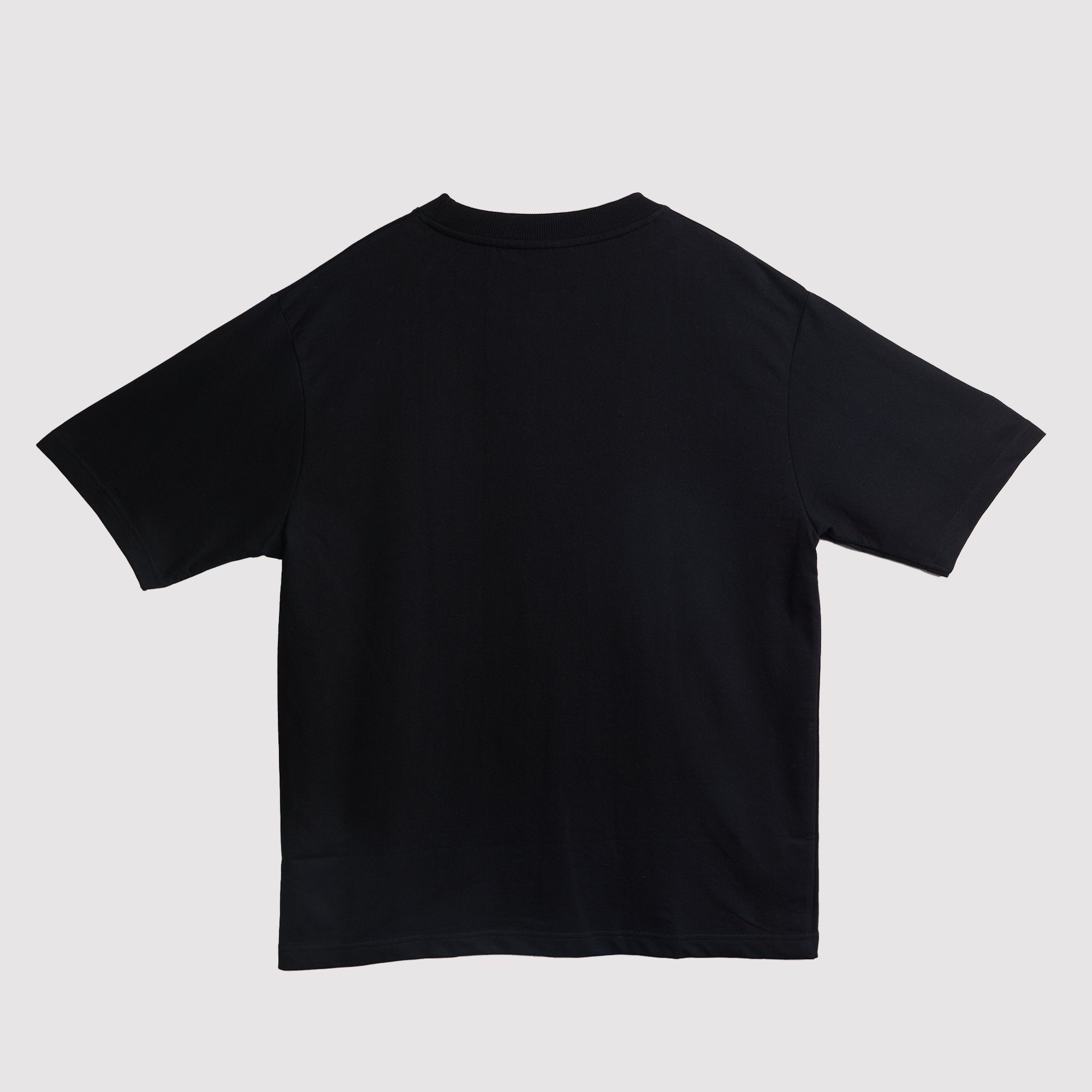 ONYX BASIC T-SHIRT - MOONDUST